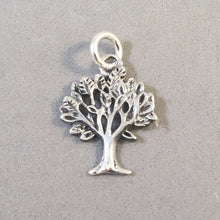 Load image into Gallery viewer, SPRING TREE .925 Sterling Silver Charm Pendant Garden Leaves Branches Tree of Life Elm Fall ga05