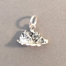 Load image into Gallery viewer, GRAND TETON 3-D .925 Sterling Silver Charm Small Pendant National Park Mountains Wyoming pm43