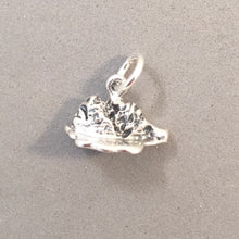 Load image into Gallery viewer, GRAND TETON 3-D .925 Sterling Silver Charm Small Pendant National Park Mountains Wyoming pm43