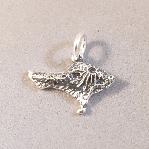 BALI MAP .925 Sterling Silver Charm Pendant Country Topographical Denpasar Mount Agung Volcano Souvenir ta38