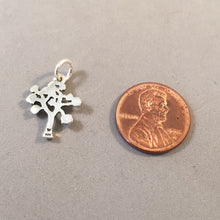 Load image into Gallery viewer, JOSHUA TREE .925 Sterling Silver Charm Pendant Mohave Desert National Park Preserve California Arizona GA08