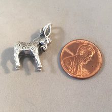 Load image into Gallery viewer, DONKEY 3-D .925 Sterling Silver Detailed Charm Pendant Burro Mule Farm Barnyard Animal Democrat Old West an19