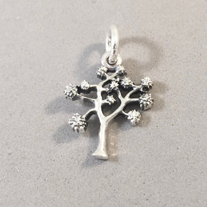 JOSHUA TREE .925 Sterling Silver Charm Pendant Mohave Desert National Park Preserve California Arizona GA08