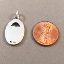 Load image into Gallery viewer, VOYAGEURS National Park .925 Sterling Silver Charm Pendant Minesota Travel Souvenir Np18