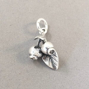 BERRIES .925 Sterling Silver 3-D Charm Pendant Fruit Food Blueberry Berry Pomegranate Plant Garden kt65