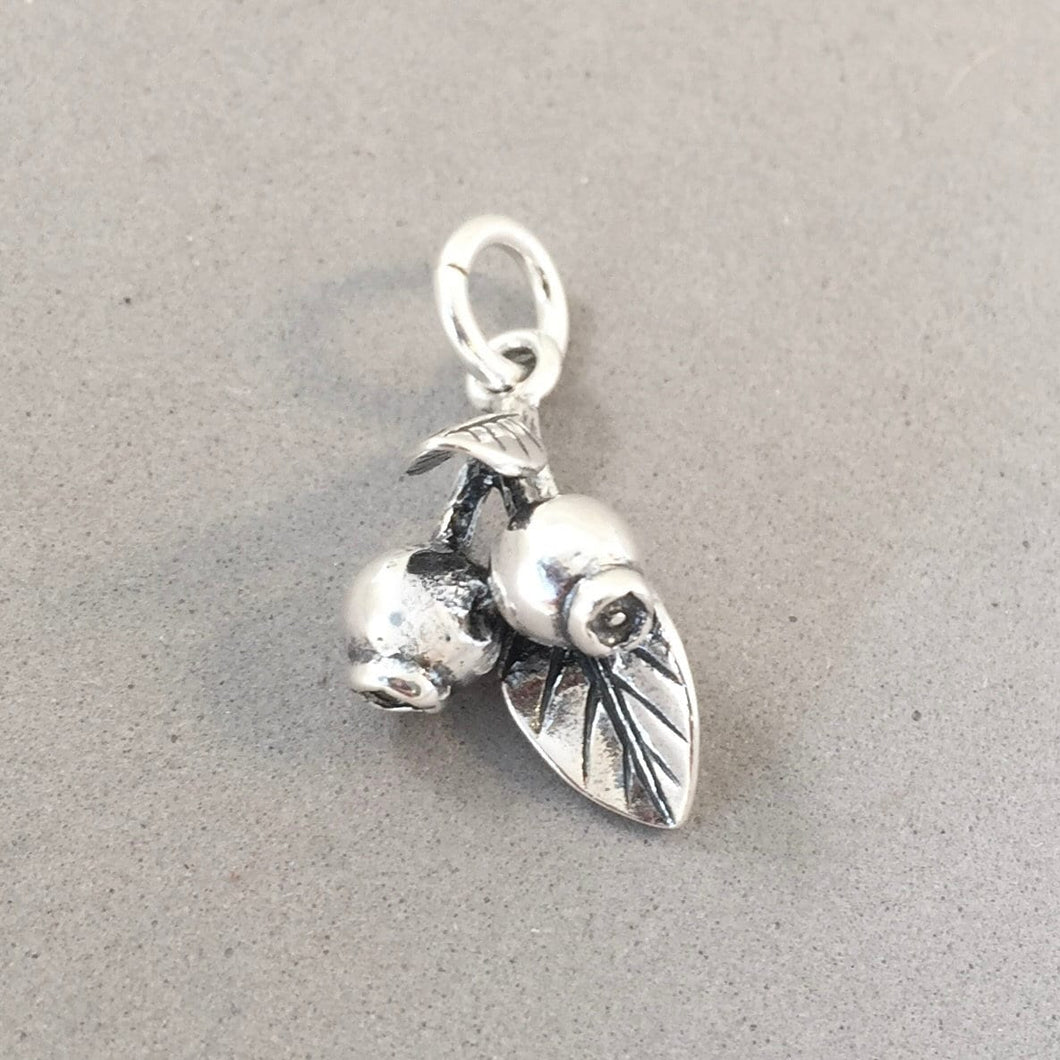 BERRIES .925 Sterling Silver 3-D Charm Pendant Fruit Food Blueberry Berry Pomegranate Plant Garden kt65