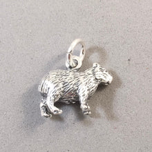 Load image into Gallery viewer, CAPYBARA .925 Sterling Silver 3-D Charm Pendant Peru Argentina Central South America Giant Rodent Guinea Pig an12