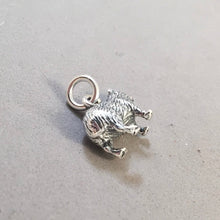 Load image into Gallery viewer, CAPYBARA .925 Sterling Silver 3-D Charm Pendant Peru Argentina Central South America Giant Rodent Guinea Pig an12