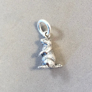 PRAIRIE DOG .925 Sterling Silver Small 3-D Charm Pendant Animal Rodent Groundhog Ground Squirrel Marmot AN06