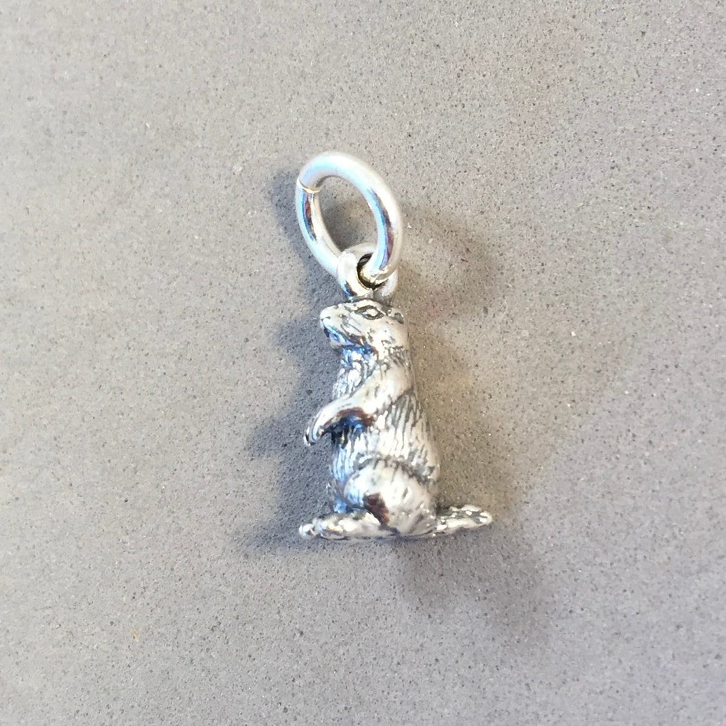 PRAIRIE DOG .925 Sterling Silver Small 3-D Charm Pendant Animal