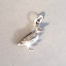 Load image into Gallery viewer, PUFFIN .925 Sterling Silver 3-D Charm Pendant Alaska Maine Ireland Iceland Bird Pendant BI09