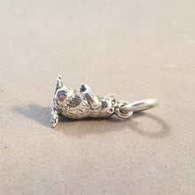 Load image into Gallery viewer, PRAIRIE DOG .925 Sterling Silver Small 3-D Charm Pendant Animal Rodent Groundhog Ground Squirrel Marmot AN06