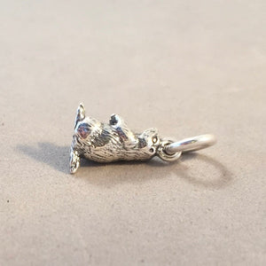 PRAIRIE DOG .925 Sterling Silver Small 3-D Charm Pendant Animal Rodent Groundhog Ground Squirrel Marmot AN06