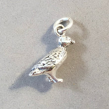 Load image into Gallery viewer, PUFFIN .925 Sterling Silver 3-D Charm Pendant Alaska Maine Ireland Iceland Bird Pendant BI09