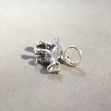 Load image into Gallery viewer, WEASEL OR MINK .925 Sterling Silver 3-D Charm Pendant Stoat Animal AN76