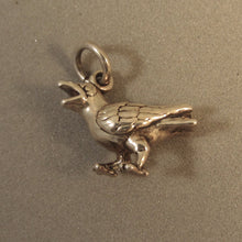 Load image into Gallery viewer, RAVEN/CROW .925 Sterling Silver 3-D Charm Pendant Detailed Bird Feathers bi37