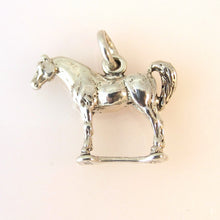 Load image into Gallery viewer, ARABIAN HORSE .925 Sterling Silver Charm Pendant Mare Stallion Equestrian Dressage Cowboy AN40