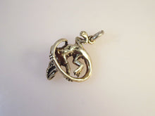 Load image into Gallery viewer, BEARDED DRAGON/ IGUANA .925 Sterling Silver 3-D Charm Pendant  Lizard an14